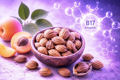 The Nutritional Foundation of Bitter Apricot Seeds