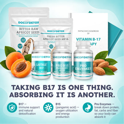 The Complete B17 Protocol