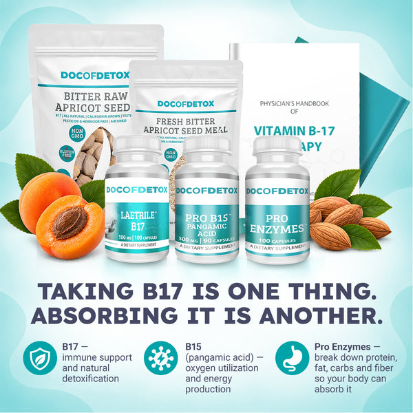 The Complete B17 Protocol
