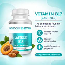 The Complete B17 Protocol