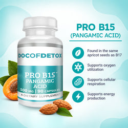 The Complete B17 Protocol