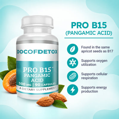 The Complete B17 Protocol