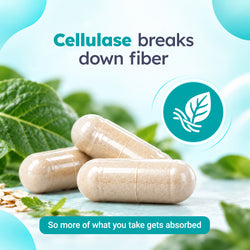 PRO Enzymes